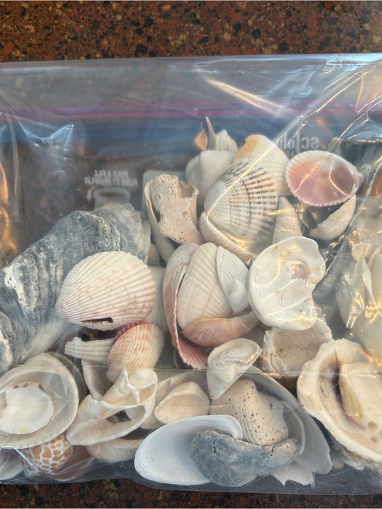Other - SHELLS Natural Mixed Sea Shells Decorative Accent - Cream & Pink